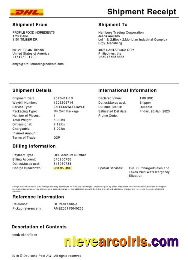 DHL service shipment receipt